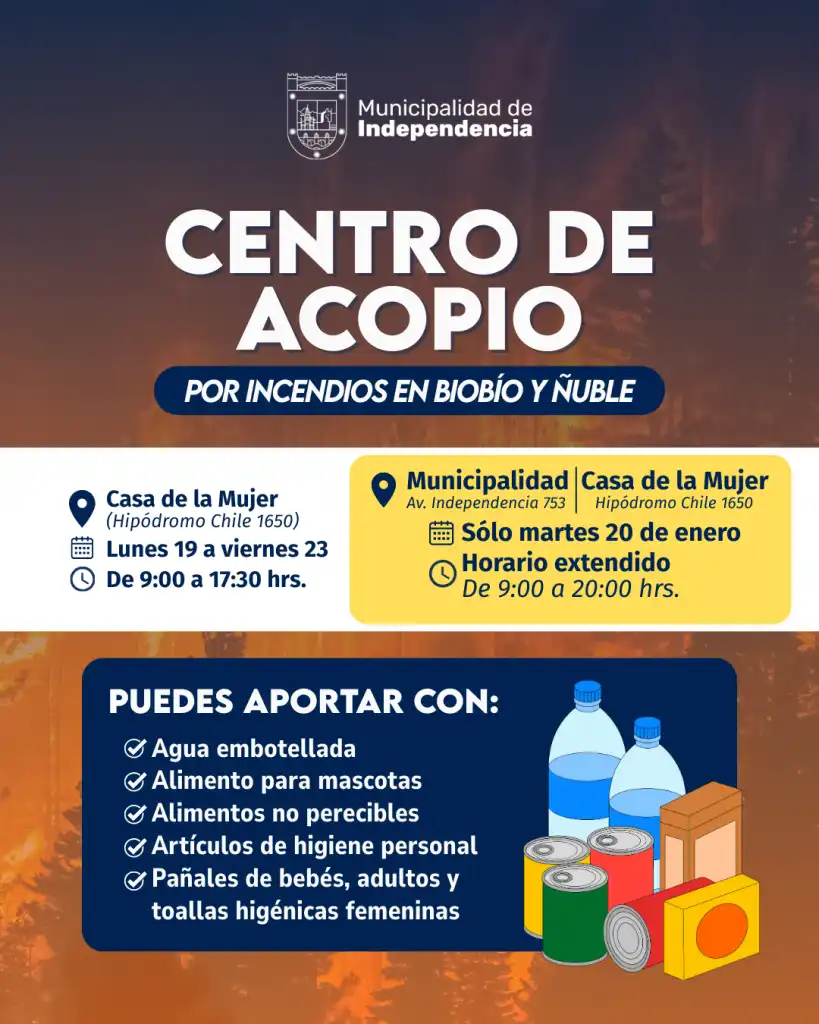 Apoyo Financiero a Damnificados por Incendios en Ñuble y Biobío