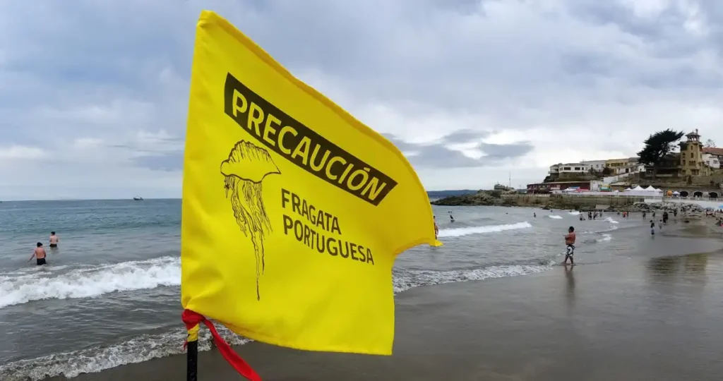 Seguridad en las Playas de Valparaíso: Levantamiento de Alerta por Fragata Portuguesa