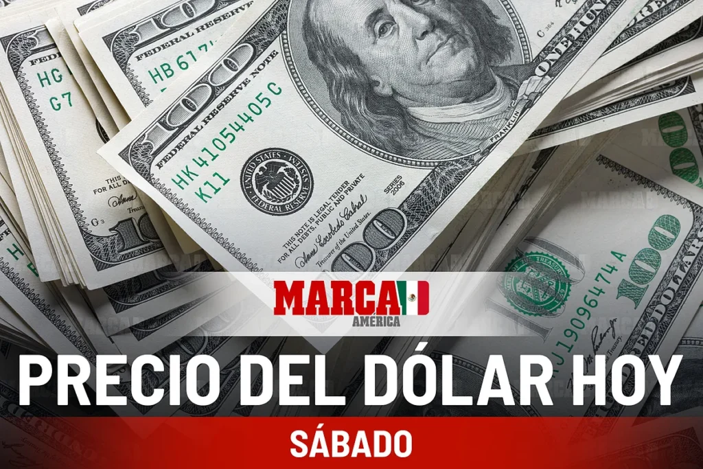 El Dólar y su Comportamiento Frente al Peso Mexicano en Febrero de 2026