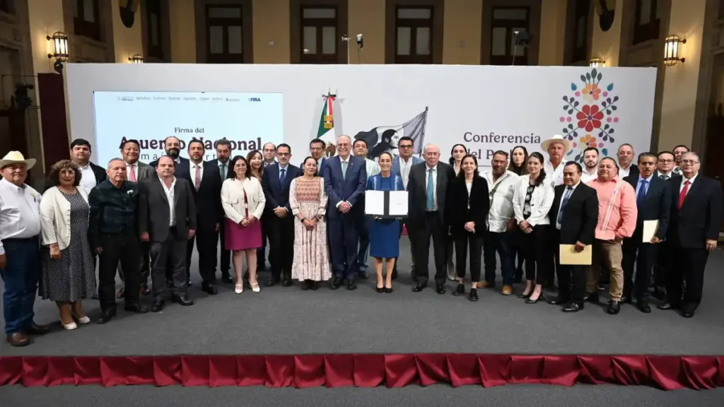 ¿Subirá el precio de la tortilla en México en 2026? Análisis oficial y contexto económico