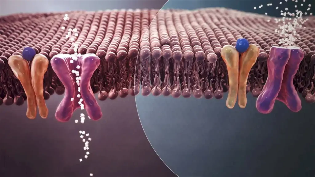 Pesticidas y diabetes tipo 2: ¿cómo el clorpirifós-metil daña la microbiota intestinal y eleva la glucosa?